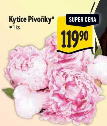 Kytice Pivoňky 1 ks