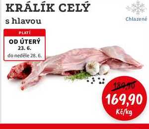 KRÁLÍK CELÝ s hlavou 1kg