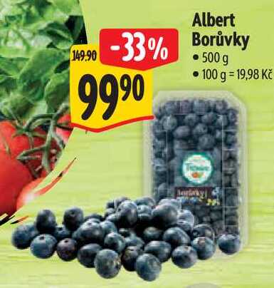 Albert Borůvky, 500 g
