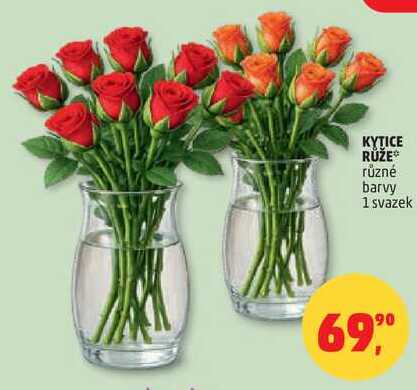 KYTICE RŮŽE různé barvy, 1 svazek