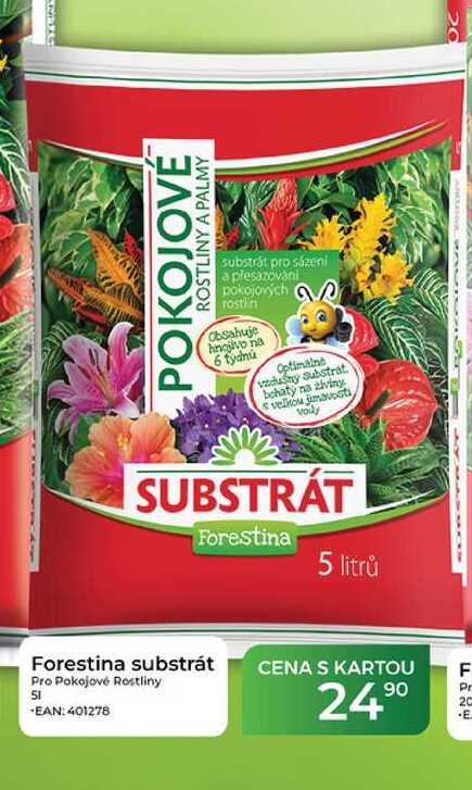 Forestina substrát Pro Pokojové Rostliny 5l