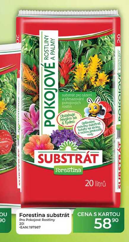 Forestina substrát Pro Pokojové Rostliny 20l