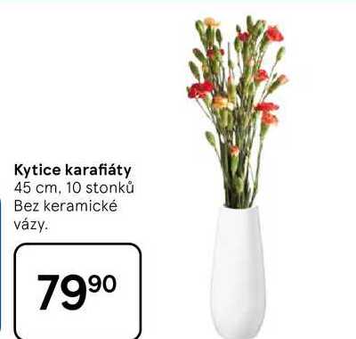 Kytice karafiáty, 45 cm, 10 stonků