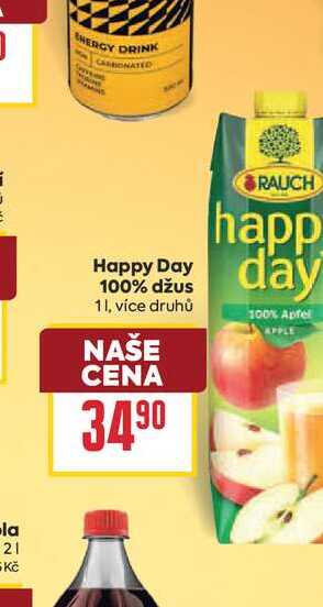 Happy Day day 100% džus 1l
