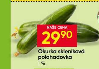 Okurka skleníková polohadovka 1 kg