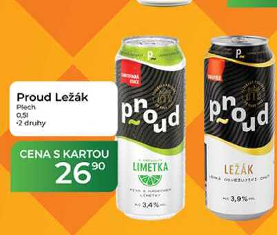 Proud Ležák Plech 0,51  