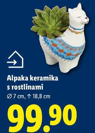 Alpaka keramika s rostlinami