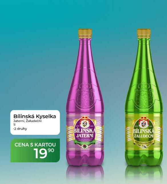 Bílinská Kyselka Jaterni, žaludeční 11