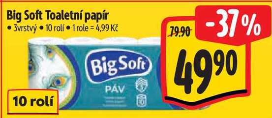Big Soft Toaletní papír, 10 rolí