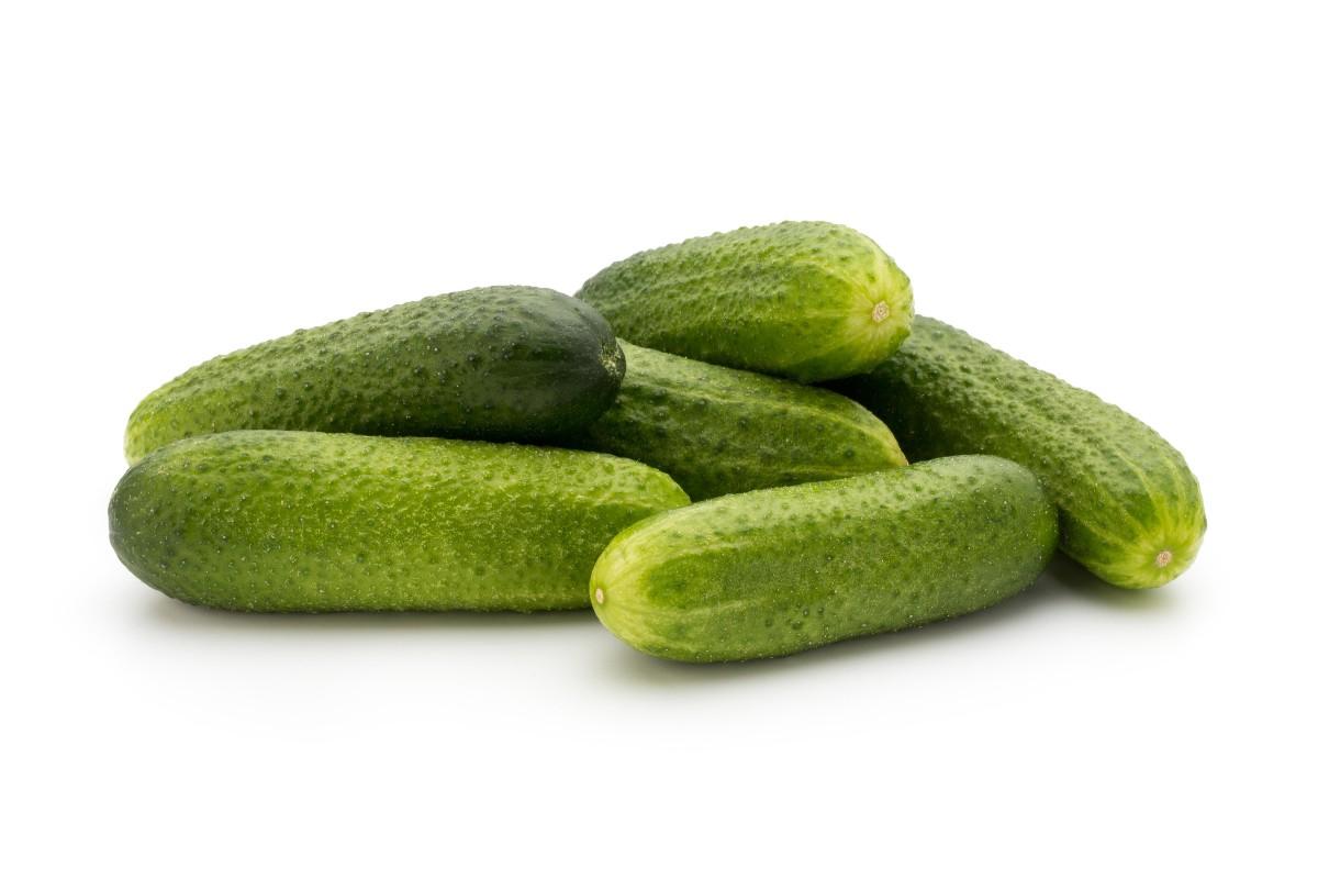 Okurky nakládačky, 1 kg