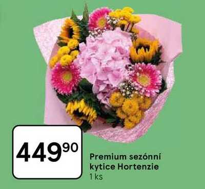 Premium sezónní kytice Hortenzie, 1 ks