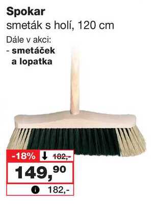 Spokar smeták s holí