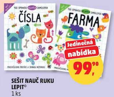 SEŠIT NAUČ RUKU LEPIT, 1 ks