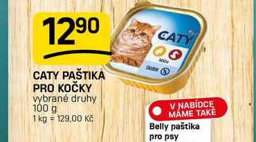 CATY PAŠTIKA PRO KOČKY 100g 