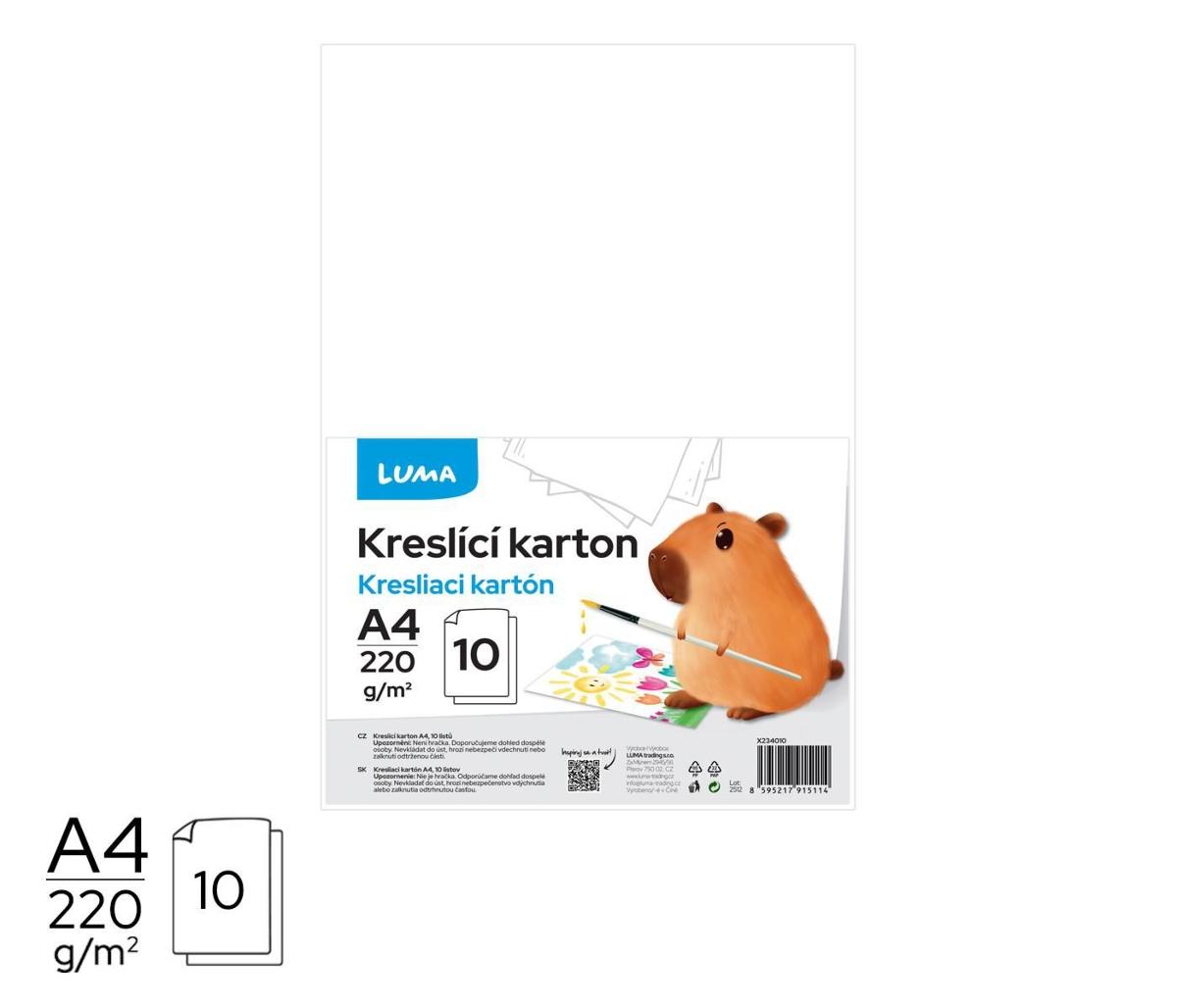 Kreslicí karton A4, 1 KS