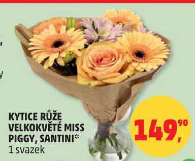 KYTICE RŮŽE VELKOKVĚTÉ MISS PIGGY, SANTINI, 1 svazek