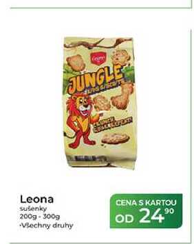 Leona sušenky 2009-300g   v akci