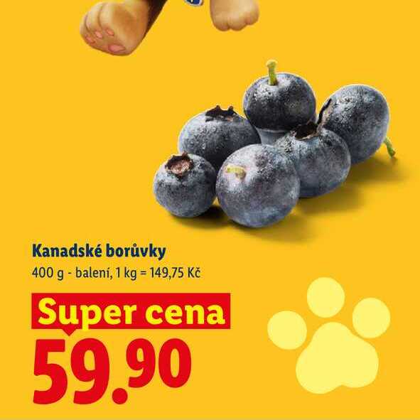 Kanadské borůvky, 400 g balení