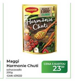 Maggi Harmonie Chuti ochucovadlo 200g