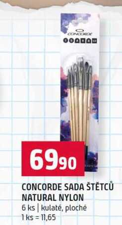CONCORDE SADA ŠTĚTCŮ NATURAL NYLON 6 ks kulaté, ploché 