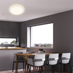 LED STROPNÍ SVÍTIDLO SLIM