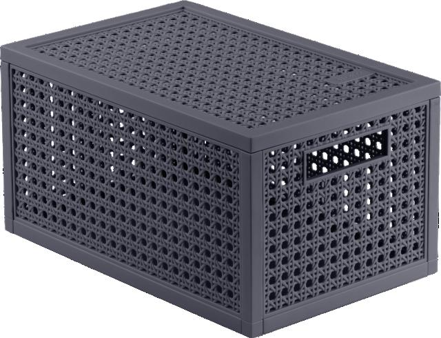 CURVER Úložný box 7 l
