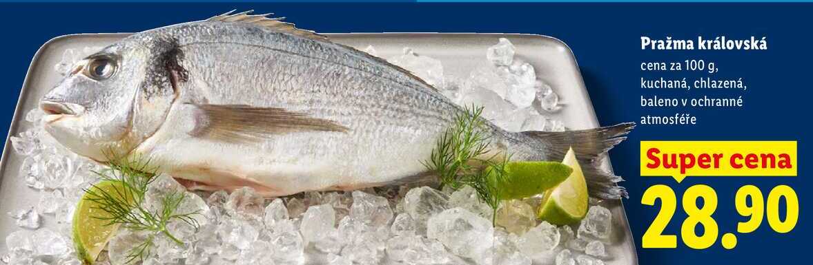 Pražma královská, cena za 100 g
