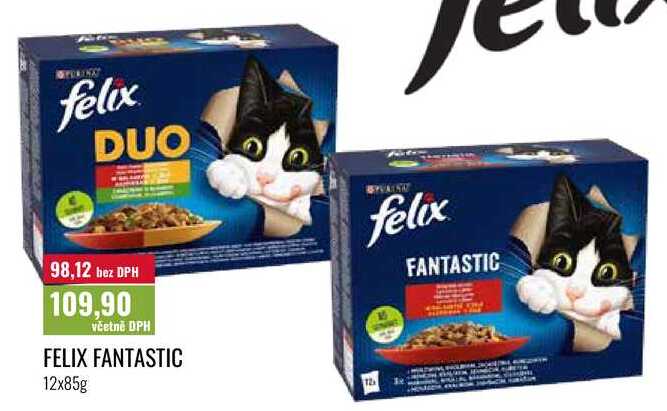 FELIX FANTASTIC 12x85g