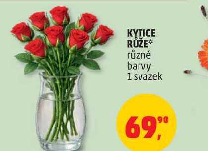 KYTICE RŮŽE různé barvy, 1 svazek