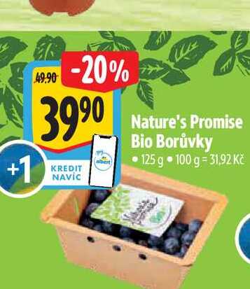 Nature's Promise Bio Borůvky 125 g
