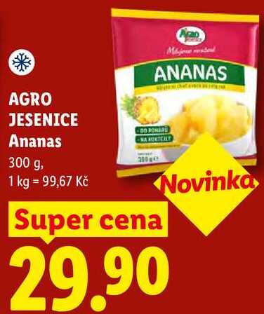 AGRO JESENICE Ananas, 300 g