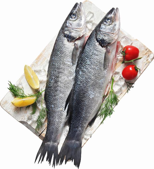 Mořský vlk (Dicentrarchus labrax) celý, chlazený v pultu