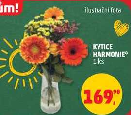 KYTICE HARMONIE, 1 ks