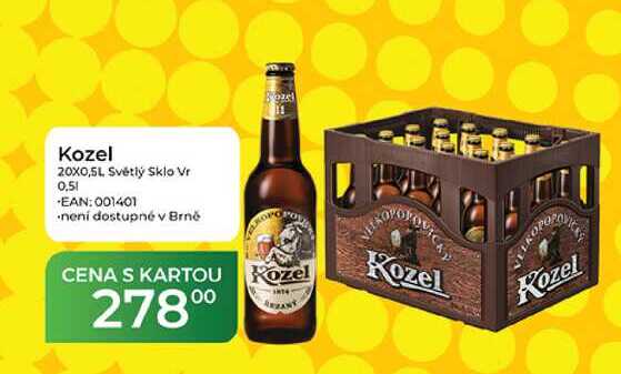 Kozel 20X0,5L Světlý Sklo 