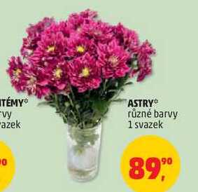 ASTRY různé barvy, 1 svazek