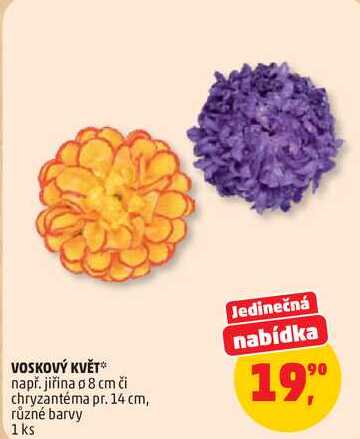 VOSKOVÝ KVĚT např. jiřina o 8 cm, 1 ks