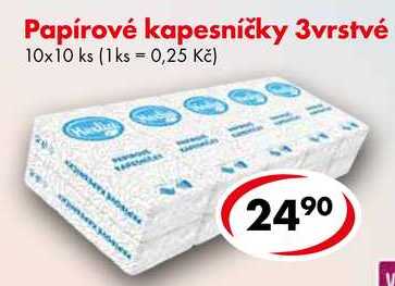 Papírové kapesníčky 3vrstvé, 10x10 ks