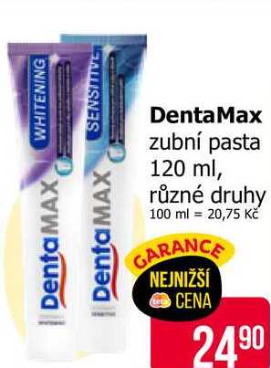 DentaMax zubní pasta 120 ml, různé druhy 