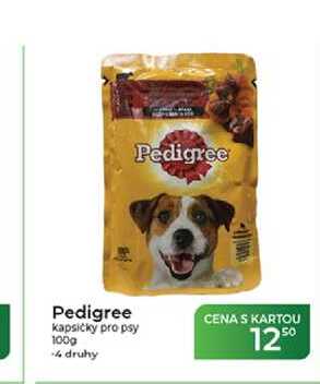 Pedigree kapsičky pro psy 100g  