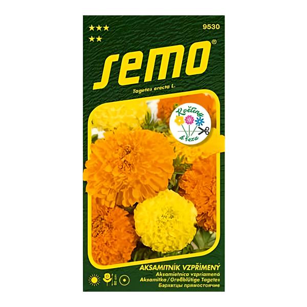 Semo Aksamitník vzpřímený