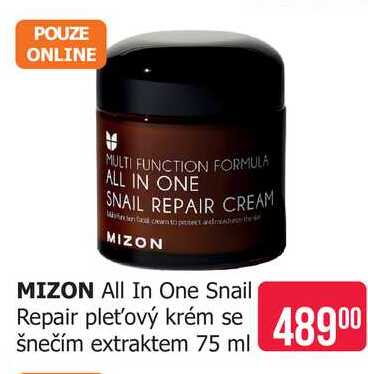 MIZON All In One Snail Repair pleťový krém se šnečím extraktem 75 ml