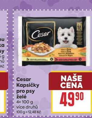 Cesar Kapsičky pro psy želé 4× 100 g
