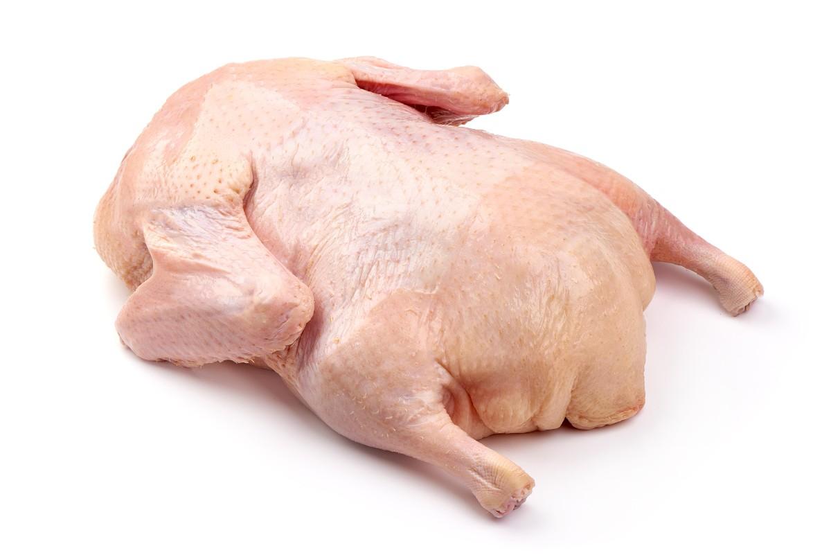 Kachna, 2.4 kg