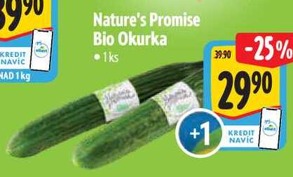 Nature's Promise Bio Okurka, 1 ks