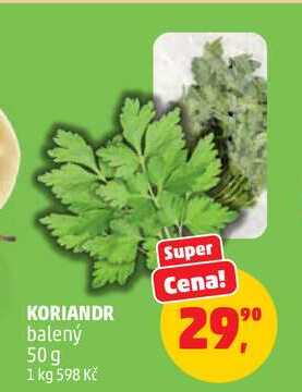 KORIANDR balený, 50g 