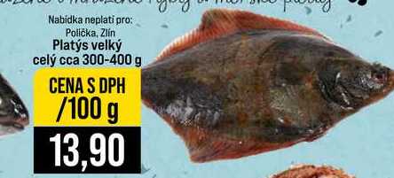 Platýs velký celý cca 300-400 g 100g