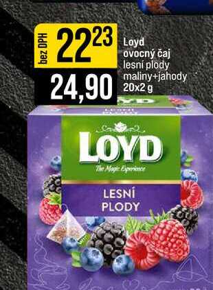 Loyd ovocný čaj lesní plody maliny+jahody 20x2 g