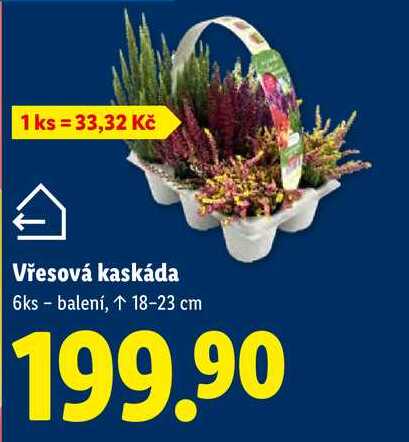 Vřesová kaskáda, 6 ks