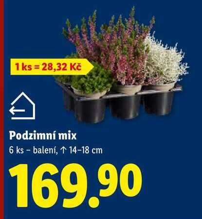 Podzimní mix, 6 ks balenÍ