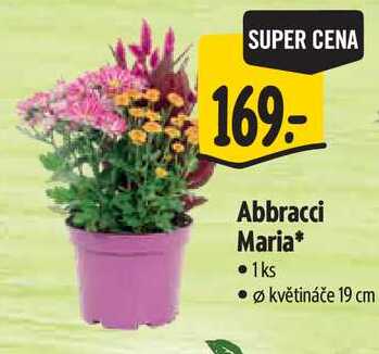 Abbracci Maria